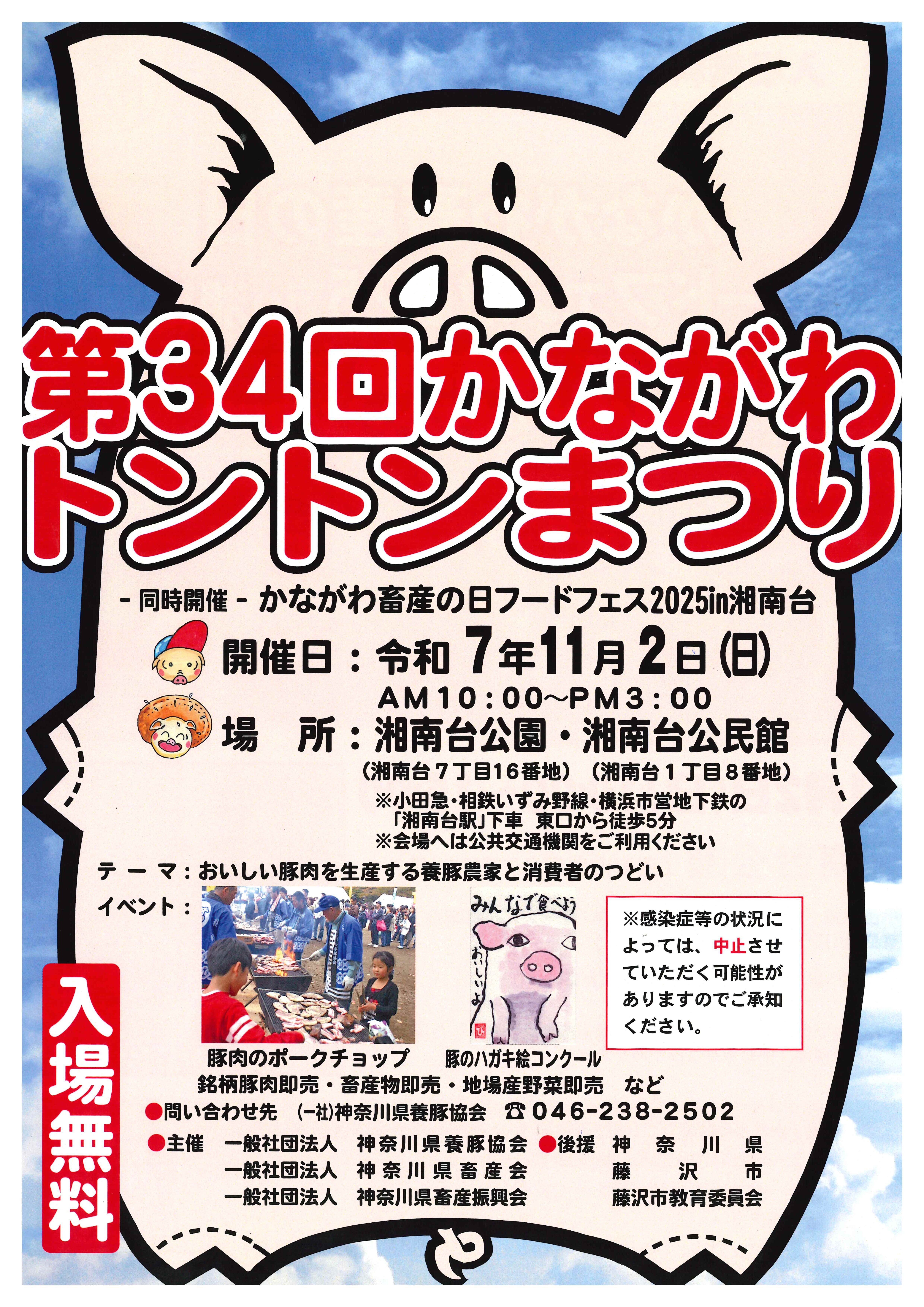 トントン34.jpg