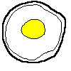 卵（平面図：下）